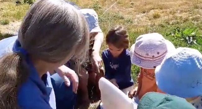 Image of children watching butterflies being released